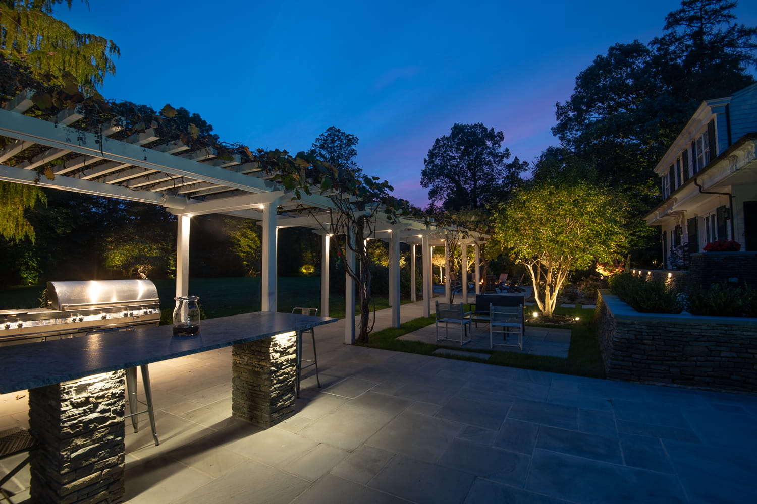 Rooney close up outside kitchen, pergola